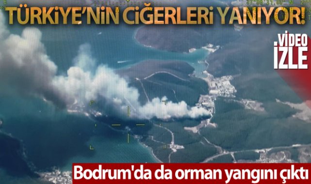 Bodrum'da da orman yangını çıktı - Gündem - Kamu Haber