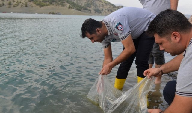 Kahramanmaraş'ta 1 milyon 489 bin yavru sazan balığı göl ve barajlara b