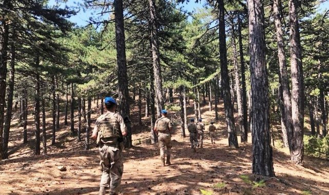 Kütahya İl Jandarma Komutanlığı ekiplerince 13 ilçede ormanlık alanlar